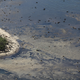 Image for article titled Rio's Olympic Site Looks Even Worse From the Air
